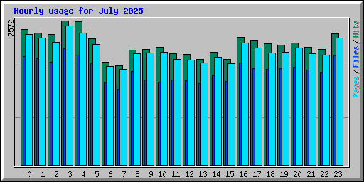 Hourly usage for July 2025